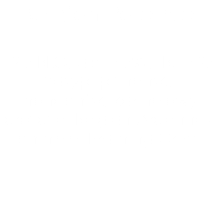 Belgian Pale Ale 12,5 BLG, alc. 5,5% , IBU ~25 zasyp: pilzneński, monachijsk, karmelowy drożdże: Belgian Ardennes chmiele: Bramling Cross